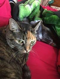 photo of April Mark J.