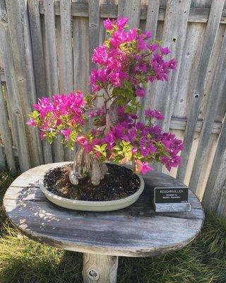 photo of Margaret F.