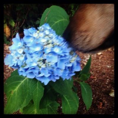 Photo of Jilliane S.