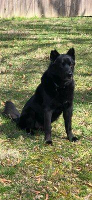 photo of Julianne M.