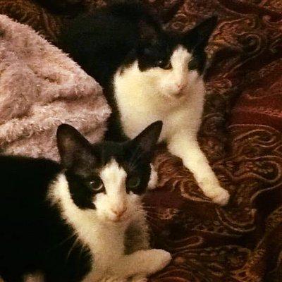 photo of Ser Carlos F.