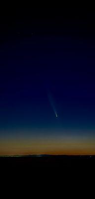 photo of Charlene W.