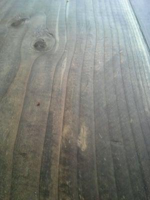 photo of Elisabeth B.