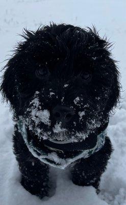 photo of Jennifer H.