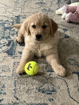 photo of Andyrockstar 1.