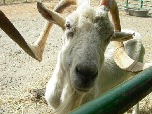 Photo of Kerrie W.