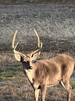 photo of Alexander G.