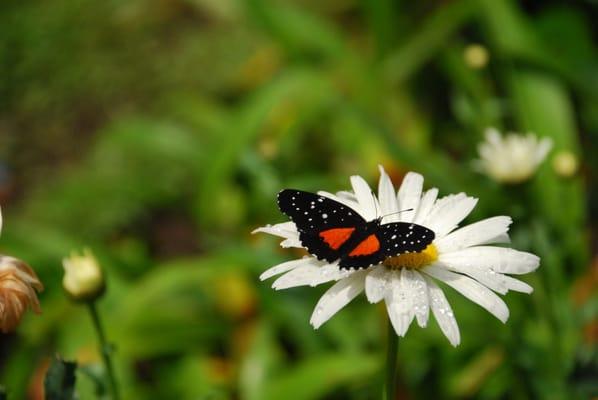 Photo of Lily S.