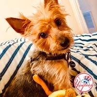 photo of Joey A.