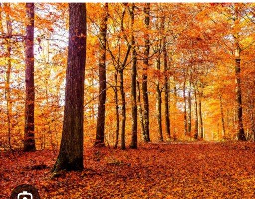 photo of Jennifer R.