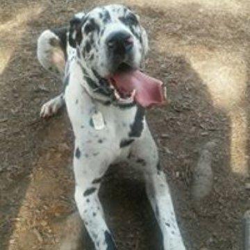 photo of Starlene E.