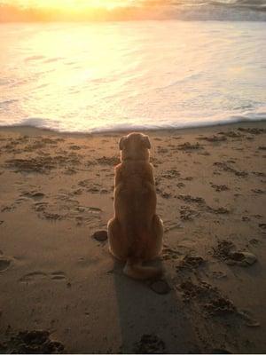 Photo of Wendy Sue H.