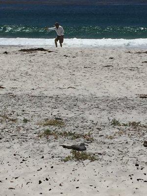 photo of Mohammad A.