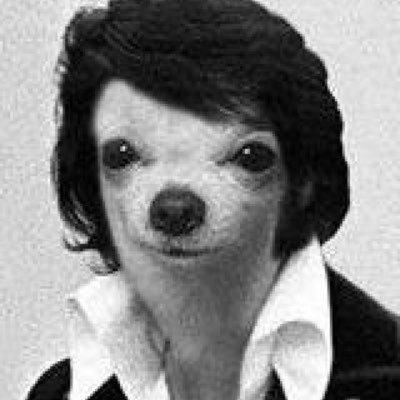 photo of Humberto M.