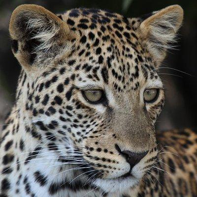 photo of Catalina S.