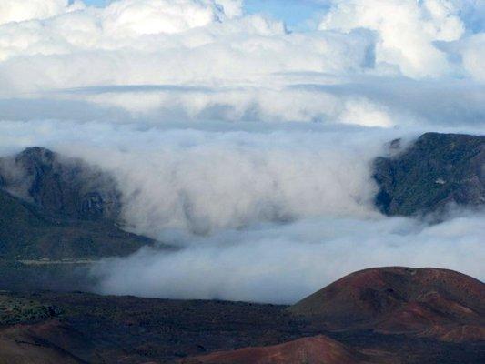 photo of American G.