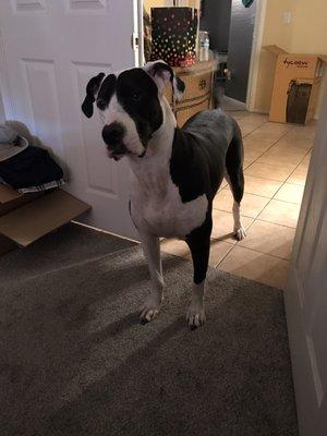 photo of Marco A. G.