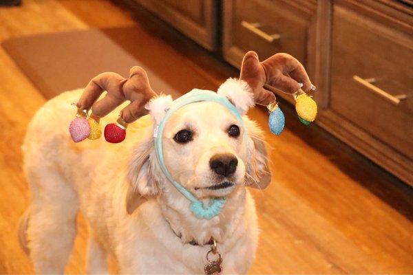 photo of Christopher W.