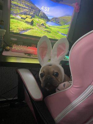 photo of Jordyn-Dallas F.