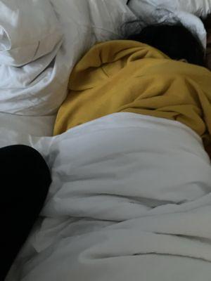 Photo of Nadia K.