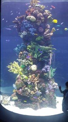 Photo of L.L. Kool L.