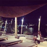 Photo of Burcu G.