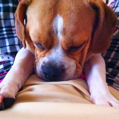 photo of Christine L.