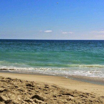 Photo of Prophetess Melinda G.