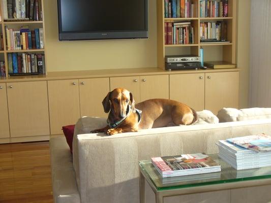 photo of Jennifer T.