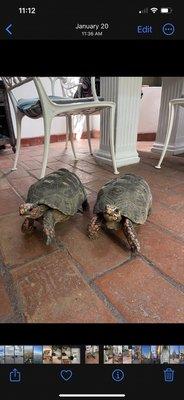 photo of FaithDean F.