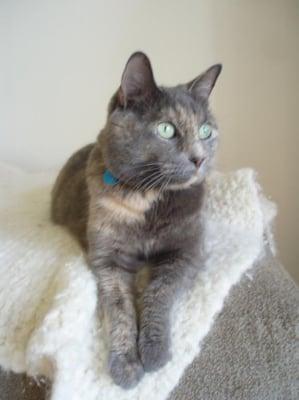Photo of Kat T.
