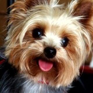 photo of Katerina B.