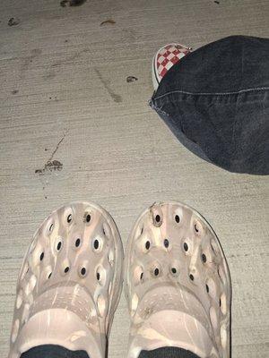 photo of Jacqueline O.