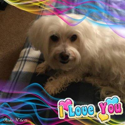 Photo of Kathe Y.