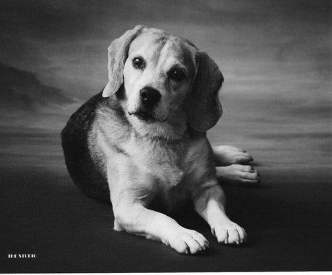 Photo of Liz K.