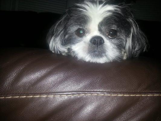 photo of Cristina C.