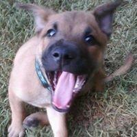 photo of Elizabeth G.