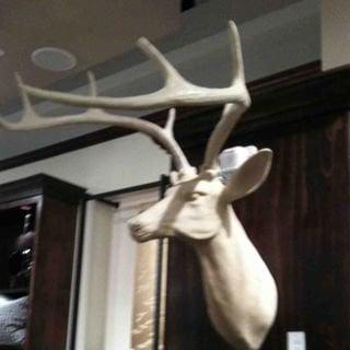 Photo of Hunting B.