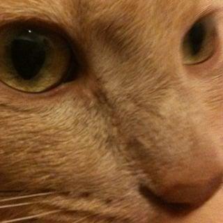 Photo of Courtney M.