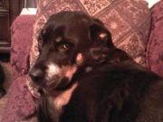 photo of Flor de Maria R.