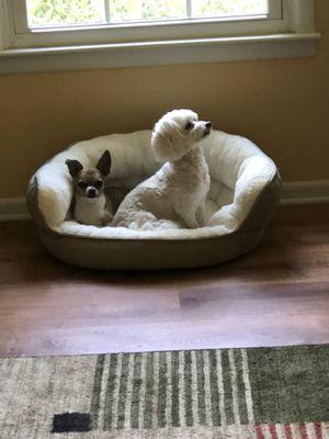 photo of Elizabeth W.