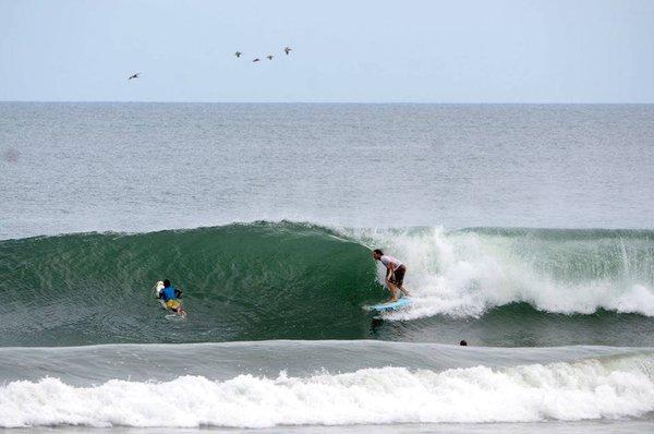Photo of Matt S.