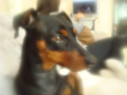 Photo of Timmy C.