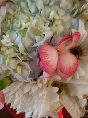 photo of Kimberly C.