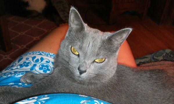 Photo of M P.