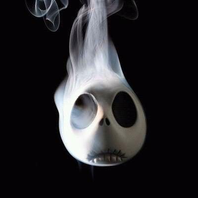 photo of Princeton F.