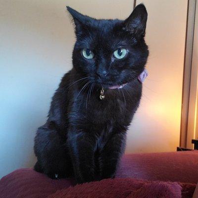 photo of Alexandra A.