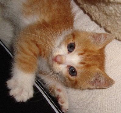 photo of Katherine R.