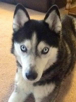 photo of BadgerGal B.