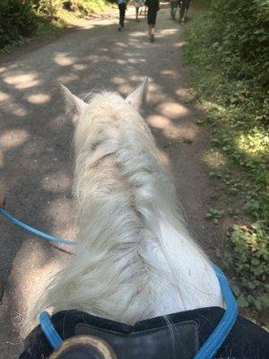 photo of Stargazer626